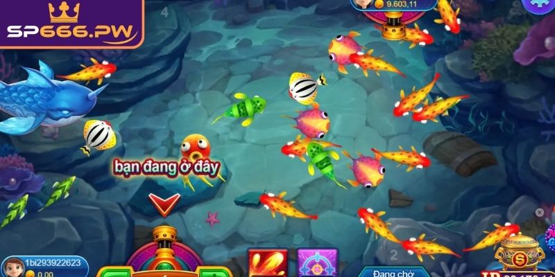 Hệ thống vũ khí và trang bị