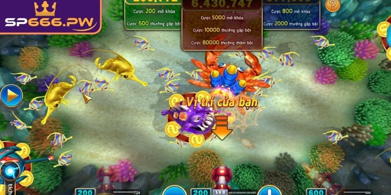 Quan sát hướng sinh vật di chuyển