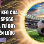 cách ra kèo của nhà cái SP666