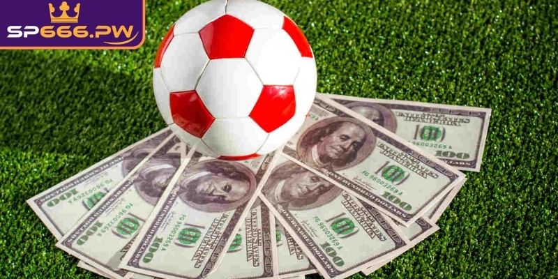 Tầm quan trọng việc nắm rõ cách tính tiền cá độ bóng đá SP666
