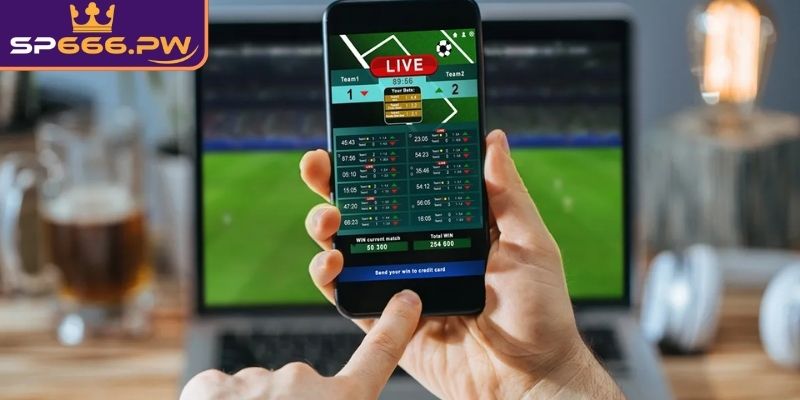 Từ ngữ miêu tả các loại cược phổ biến